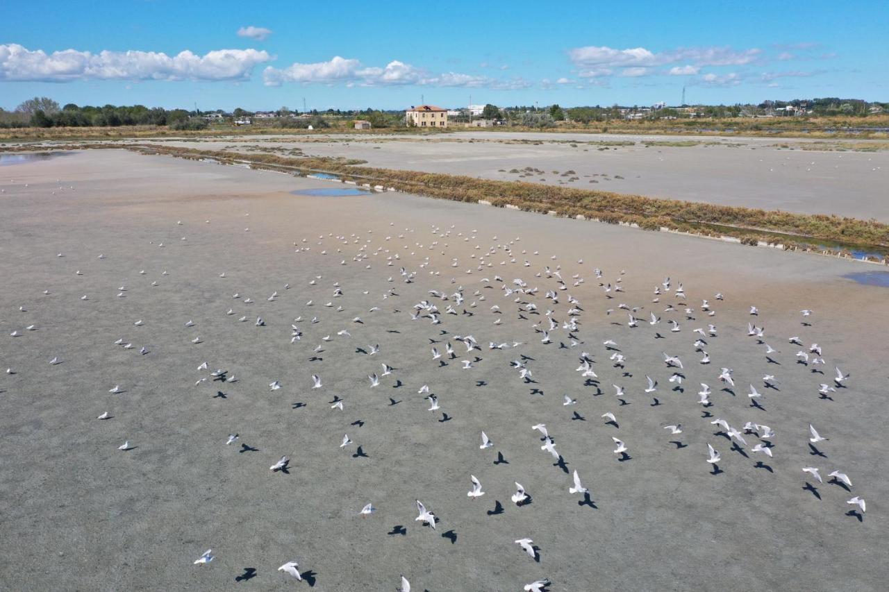 Sirena Apartments Llido Degli Estensi Zewnętrze zdjęcie